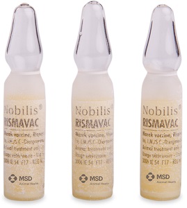 nobilis manual