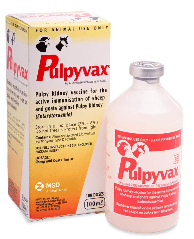 Pulpyvax® - MSD Animal Health South Africa